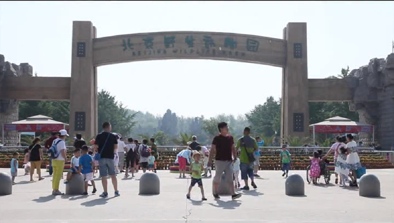 w88win优德(中国)官方网站